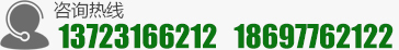 13723166212